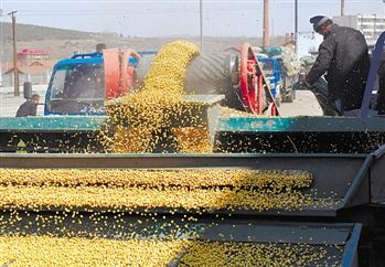 价格倒挂的秘密,小巷独特风味之旅探寻记