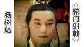 演员杨树彪,演员杨树彪，演艺之路的璀璨之星