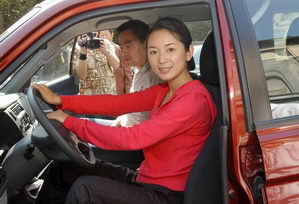 章苹，演艺之路的璀璨之星