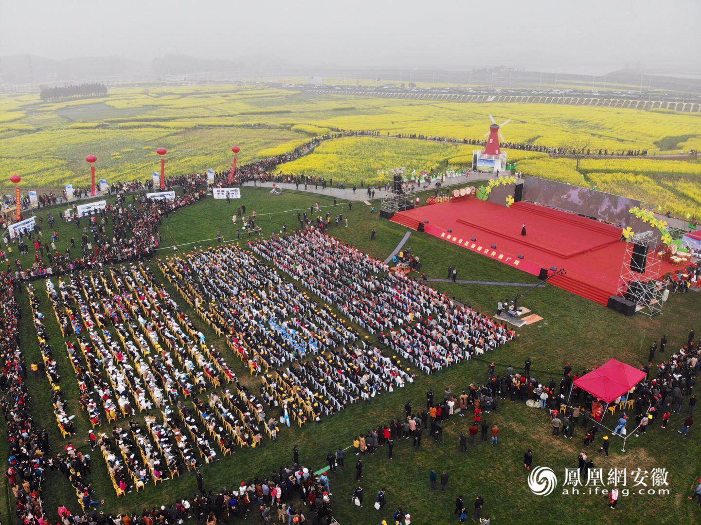 枞阳县最新资讯速递，掌握最新动态，了解枞阳发展！