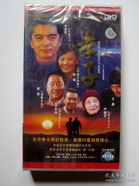 电视剧孝子全集观看与学习指南，详细步骤带你领略孝道精神世界！