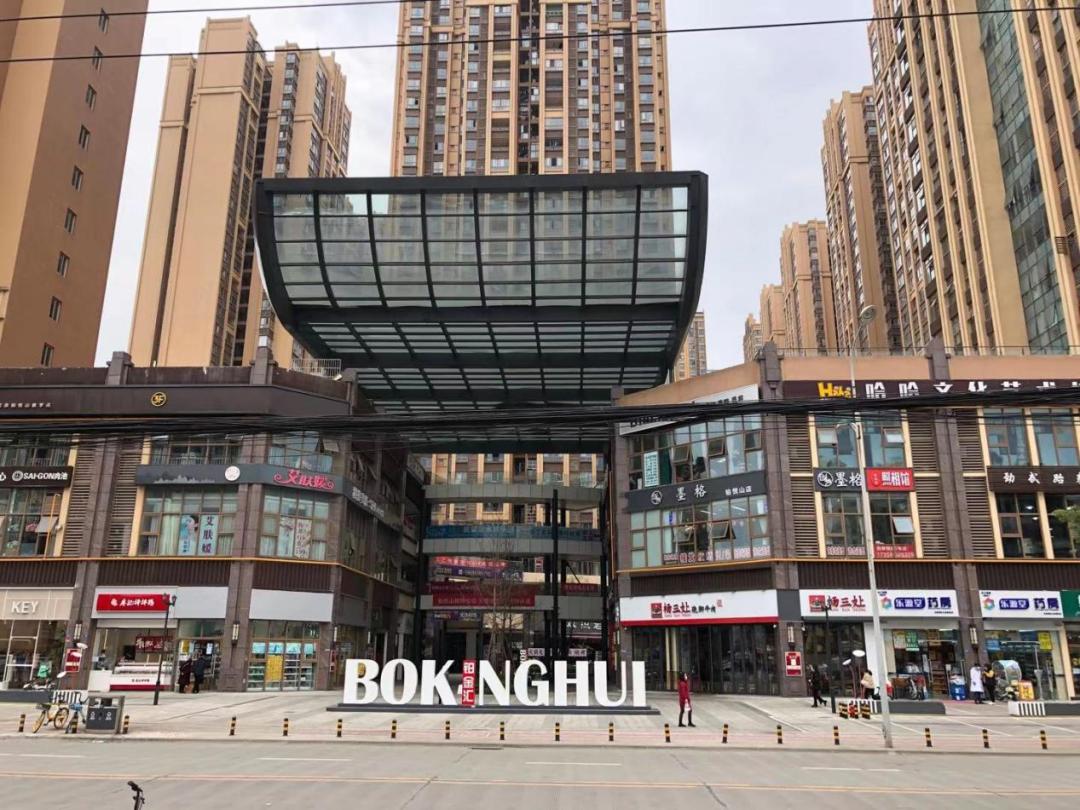 龙泉铂悦山蜕变中的学习之旅,最新动态与成就感的源泉