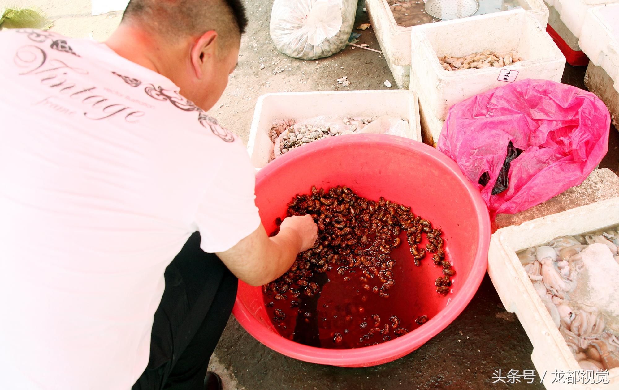 濮阳上市公司，城市企业发展的璀璨新星